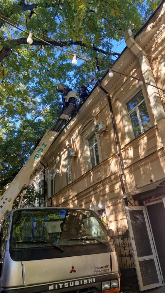 8257 image for slide