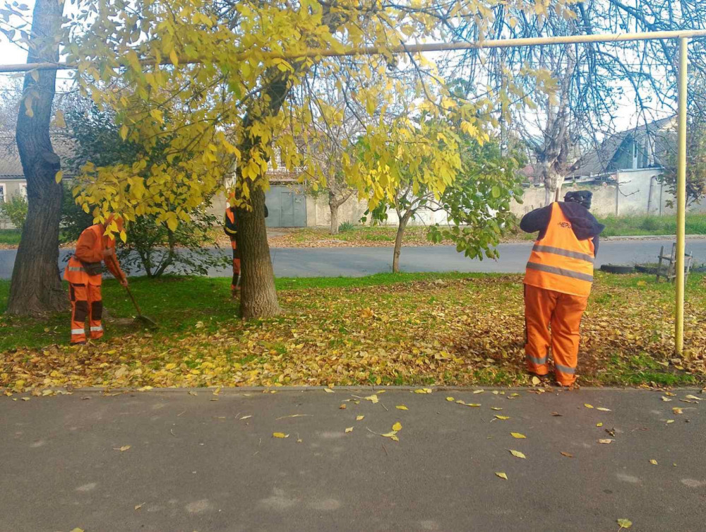 8277 image for slide