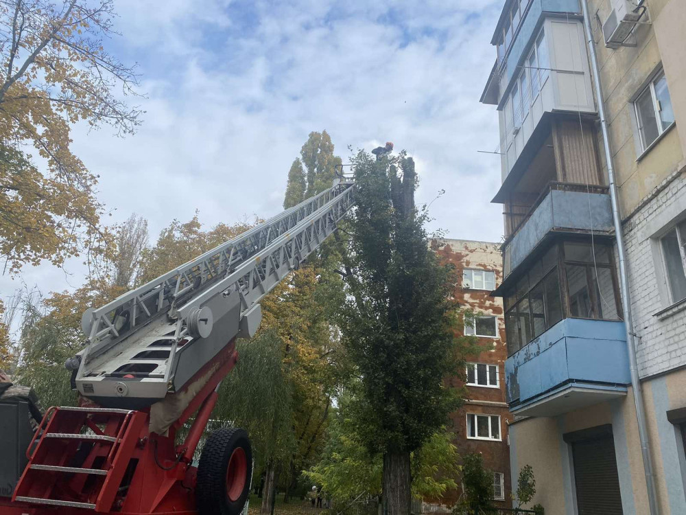 8279 image for slide