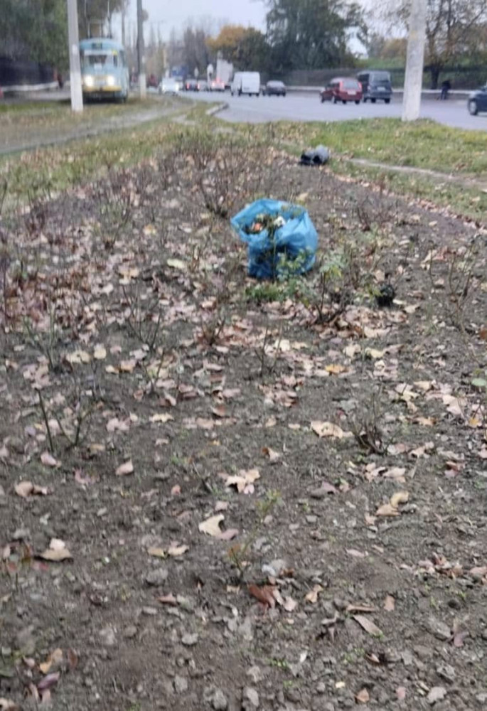 8332 image for slide