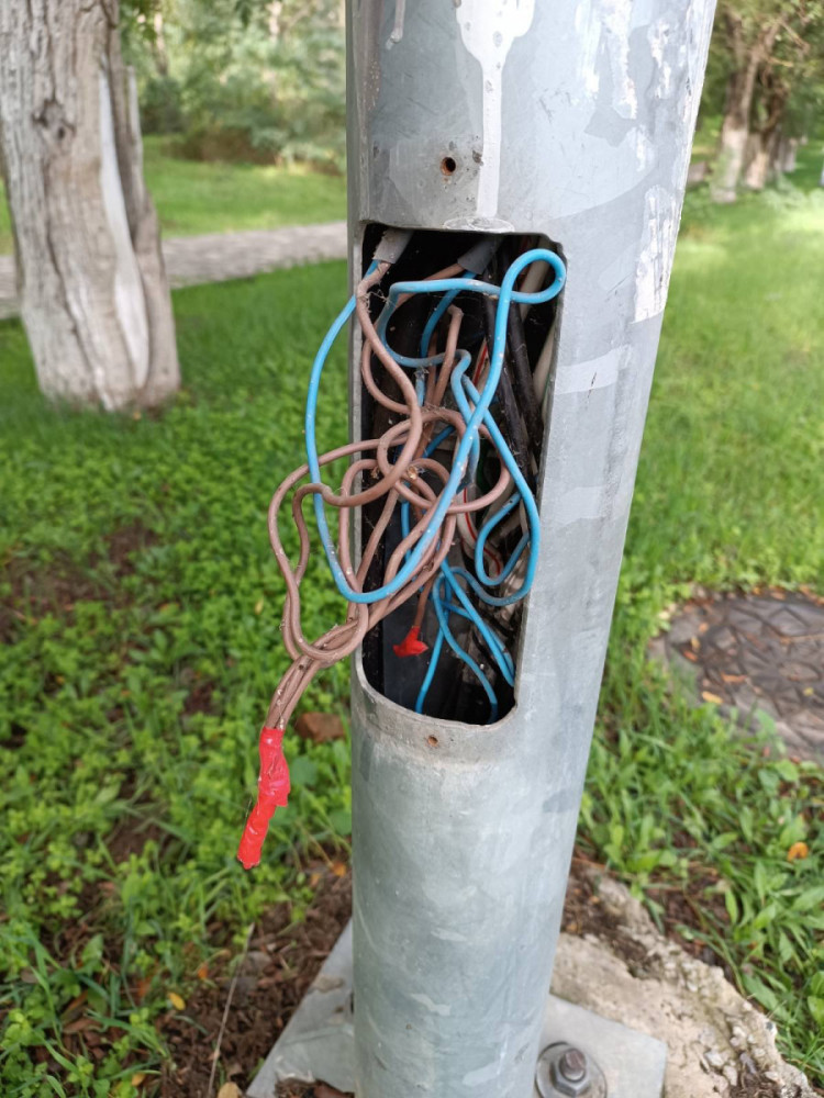 8334 image for slide