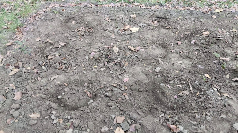 8338 image for slide