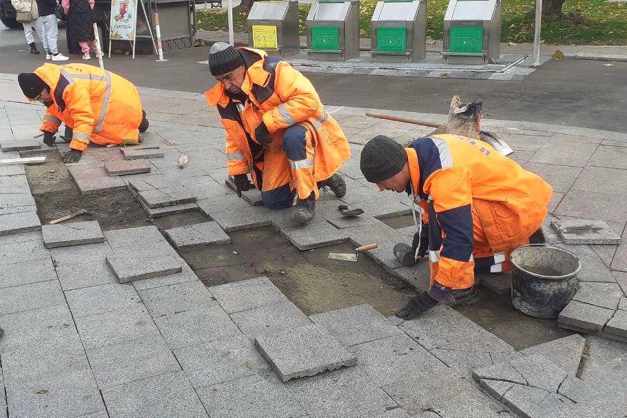 8406 image for slide