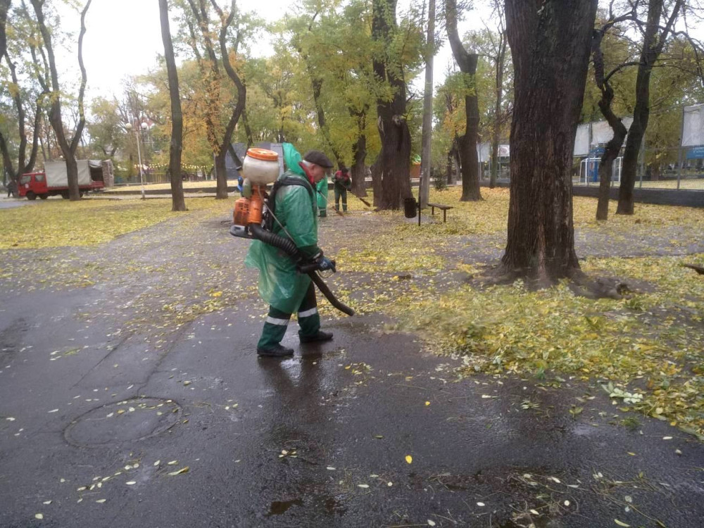 8465 image for slide