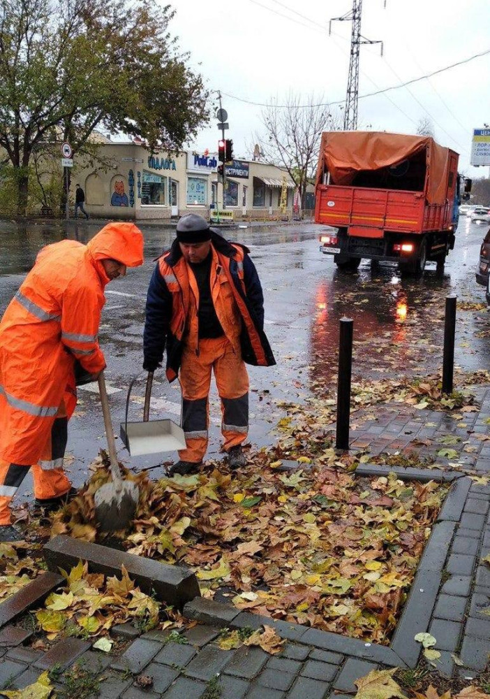 8466 image for slide