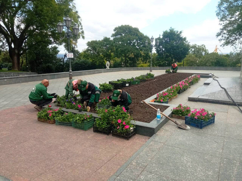 8585 image for slide