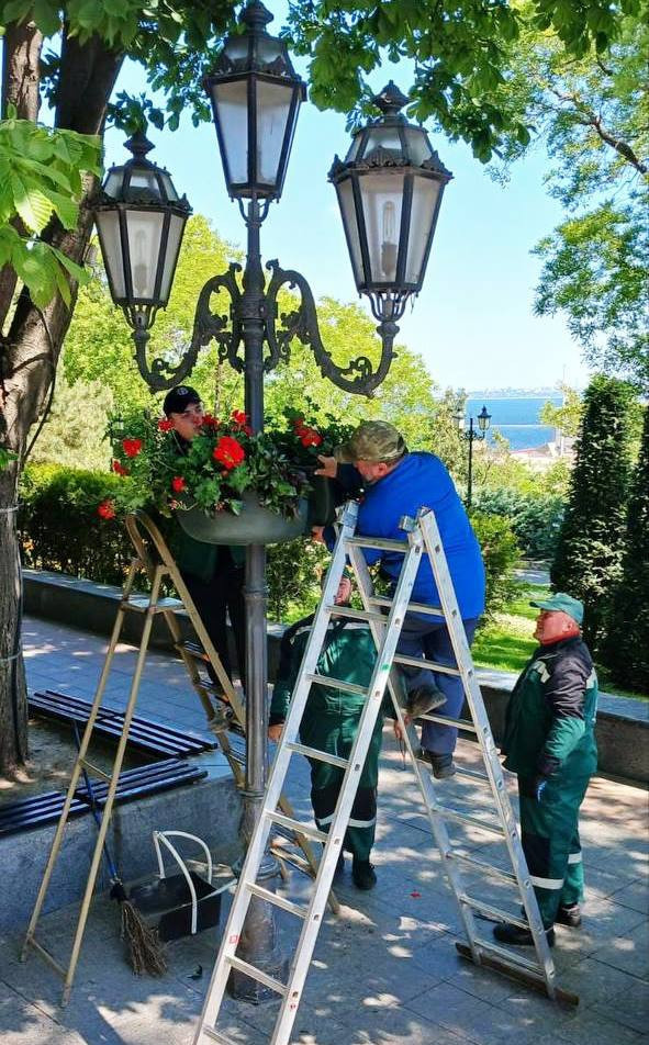 8588 image for slide