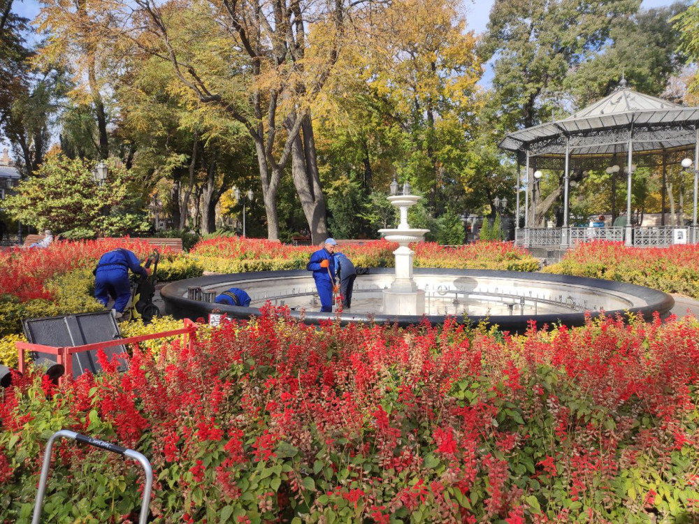 8665 image for slide