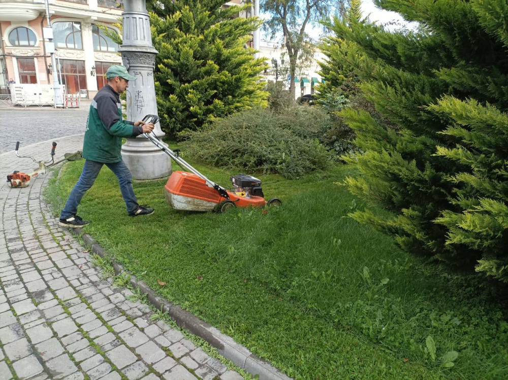 8825 image for slide