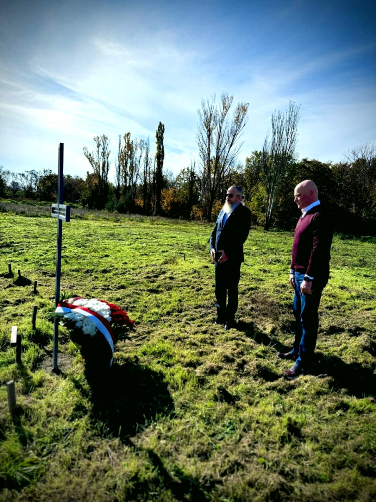 9218 image for slide