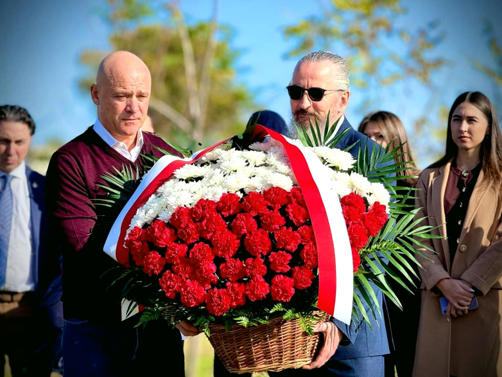 9219 image for slide