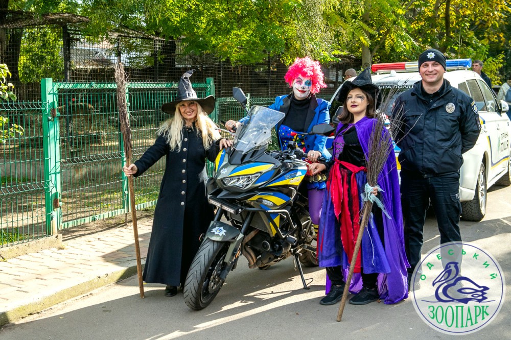 9970 image for slide